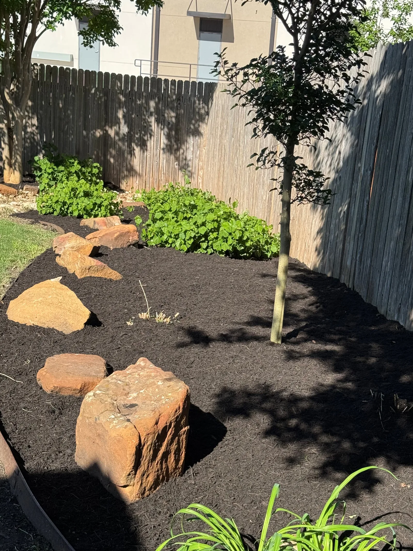 A dark mulched bed with tan boulders, green shrubs and a young tree along a fence.