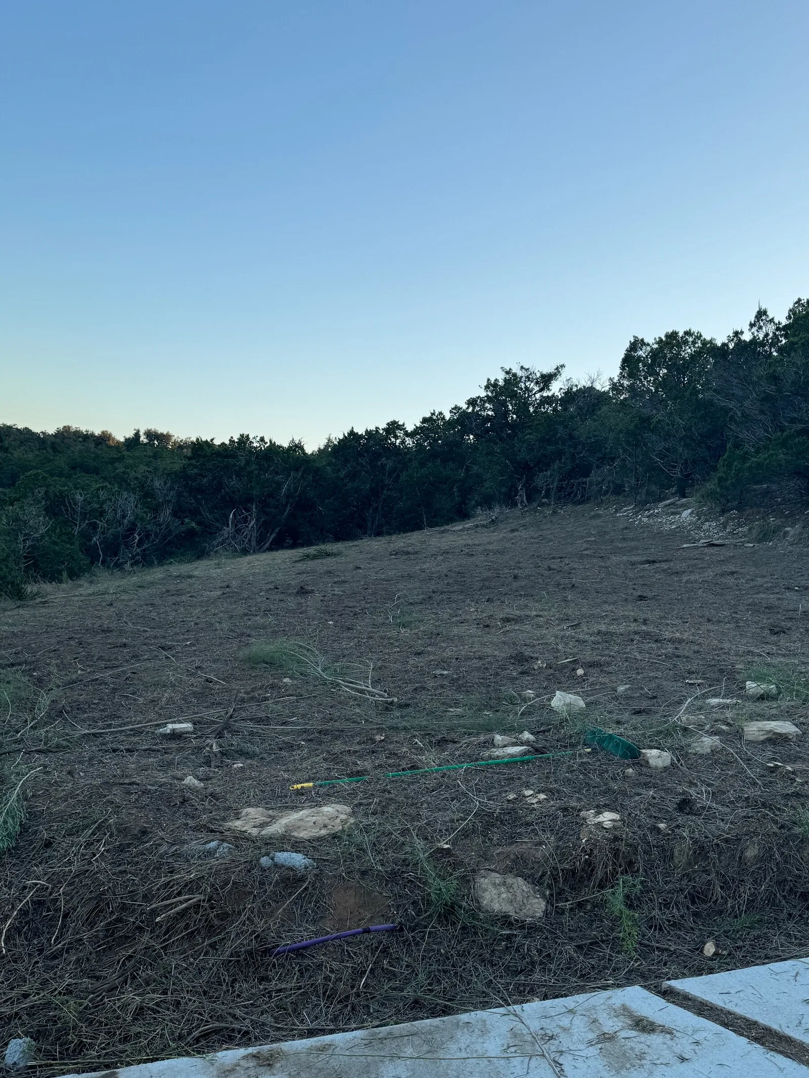 The same lot cut down to low ground with the tree line beyond.