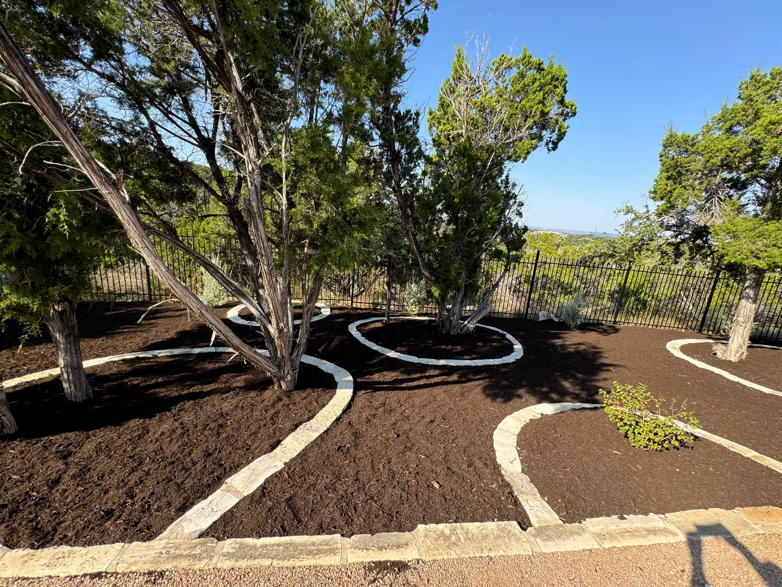 Curving stone-edged beds of dark mulch around several trees on a slope.