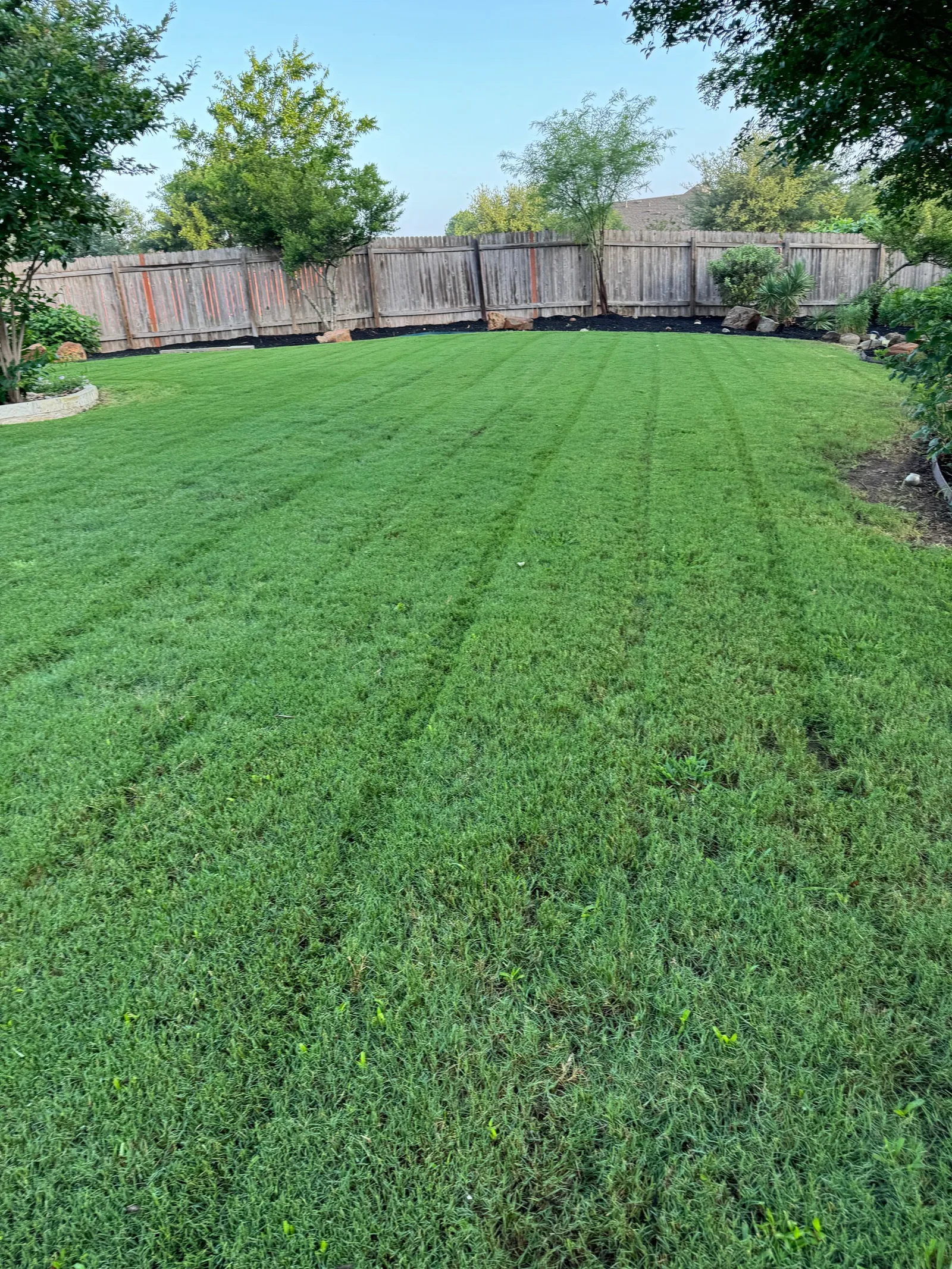 Freshly cut green lawn bordered by planted beds, shade trees and a wood fence.