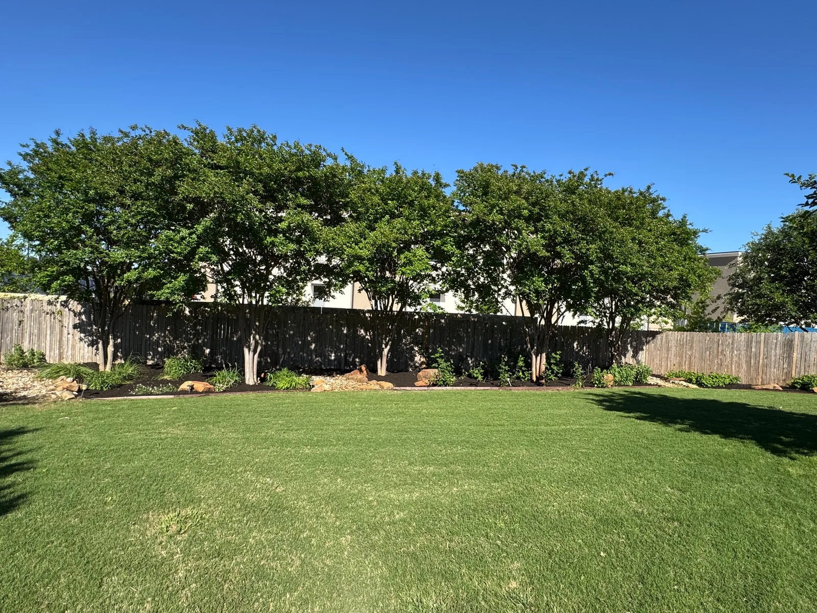 A wide mowed lawn in front of a row of leafy trees and a wood fence.