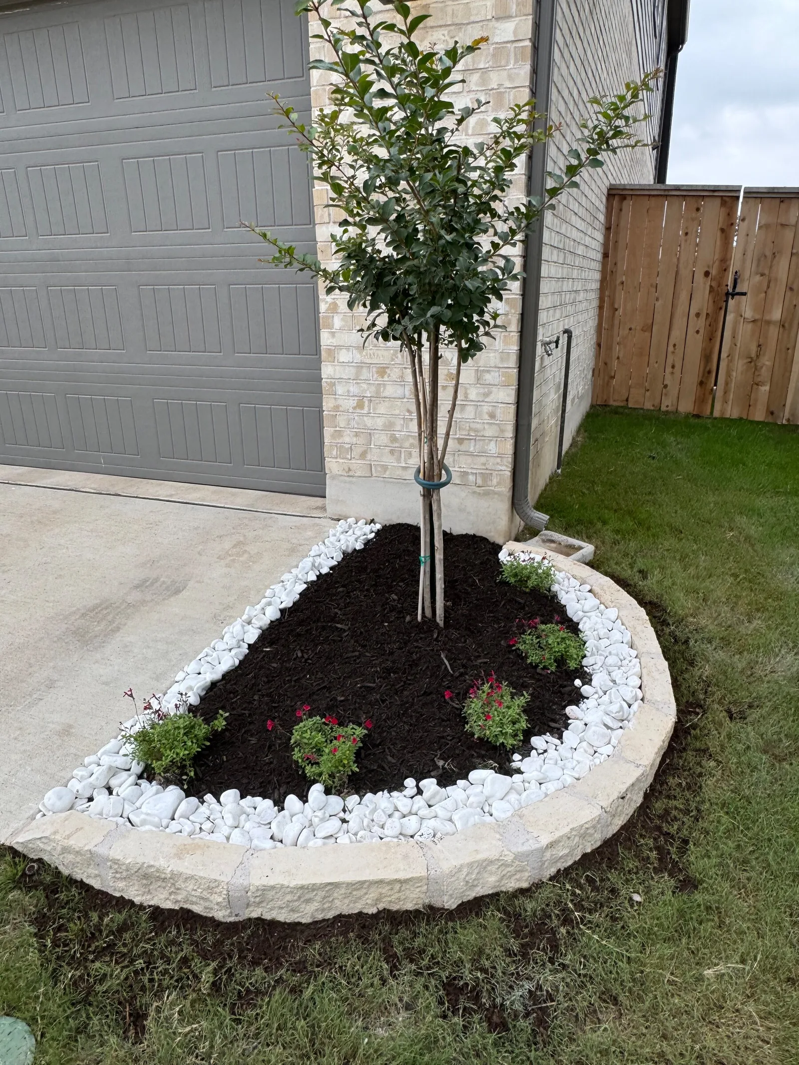A young tree in a raised, stone-edged bed trimmed with white rock beside a driveway.