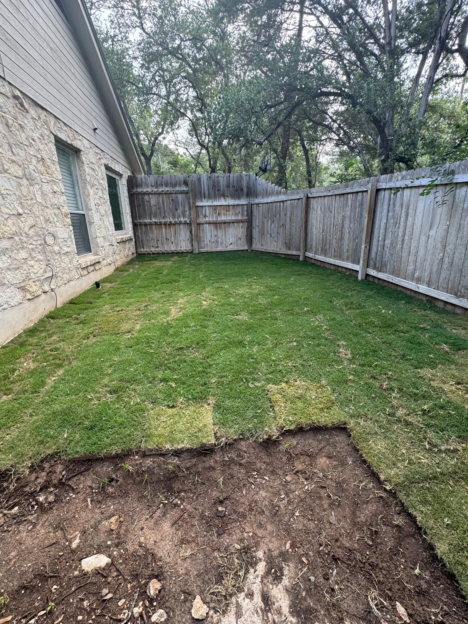 New green sod covering the fenced side yard beside the stone house.