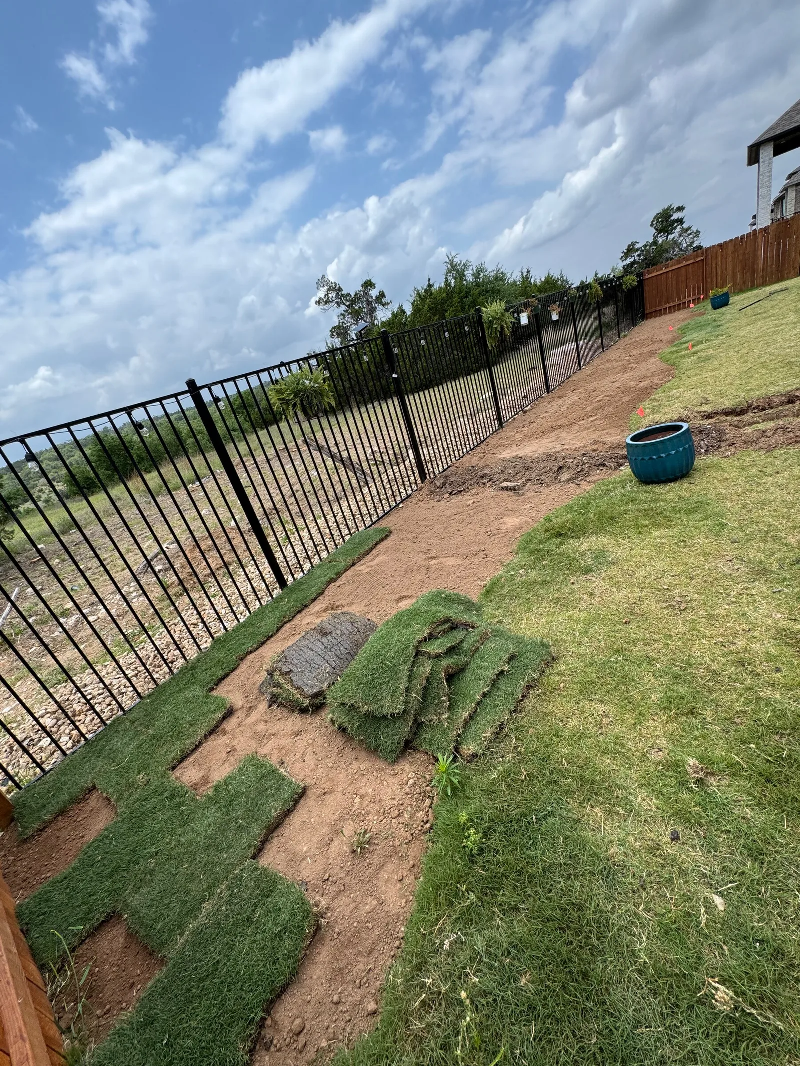 Rolls of new sod being laid on graded soil beside an iron fence.